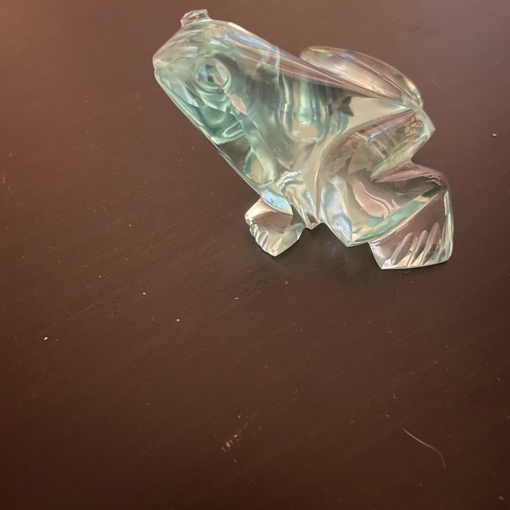 Cute Glass Frog - Picture 4 of 5